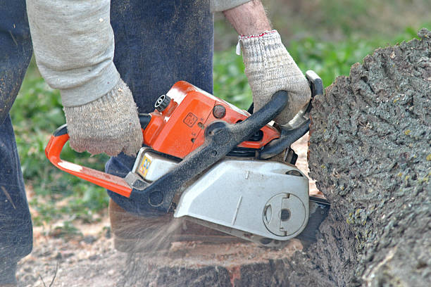 Landscape Design and Installation in Havelock, NC